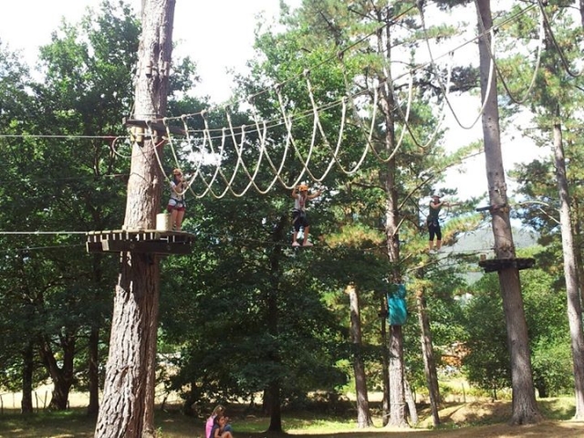 Circuito de arborismo